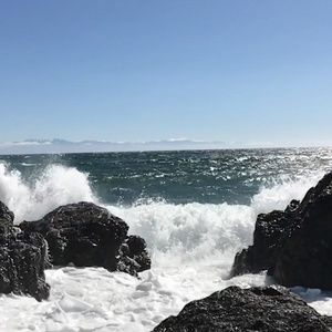 Meet your Posher, Rick